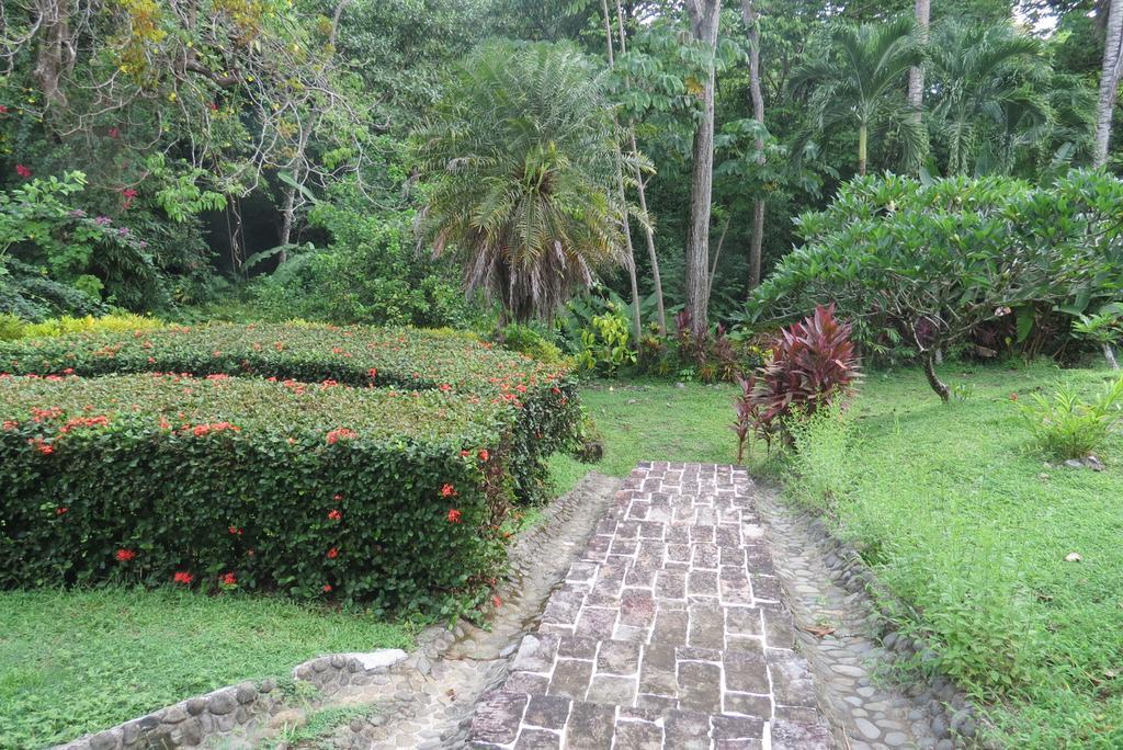 Apartamento Karibu Manuel Antonio Værelse billede