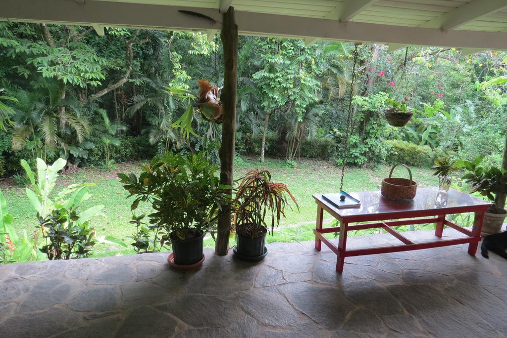 Apartamento Karibu Manuel Antonio Værelse billede