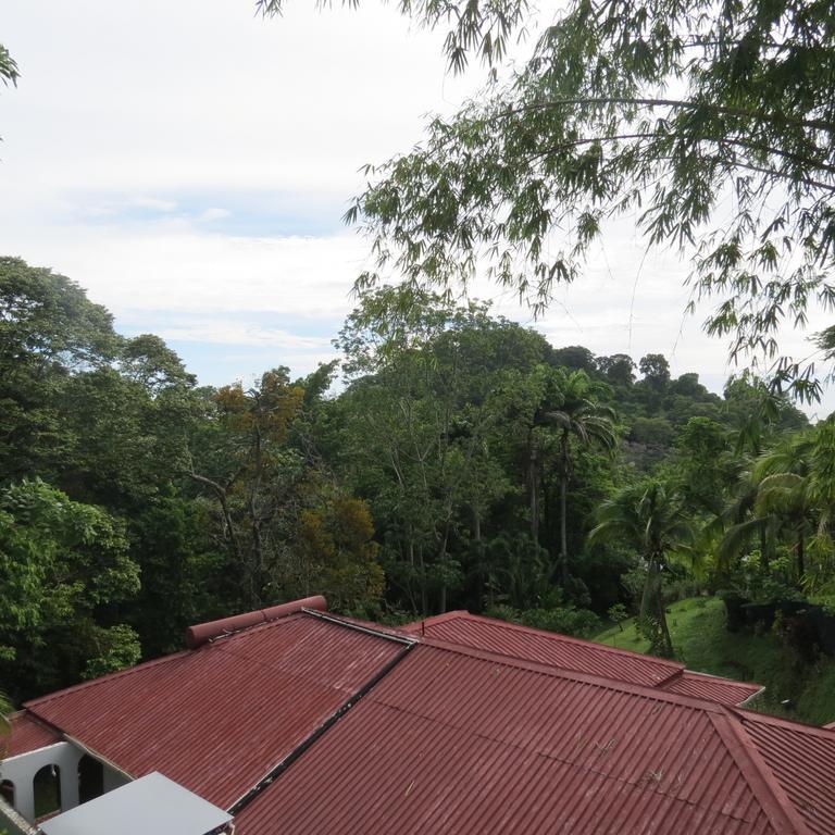 Apartamento Karibu Manuel Antonio Værelse billede